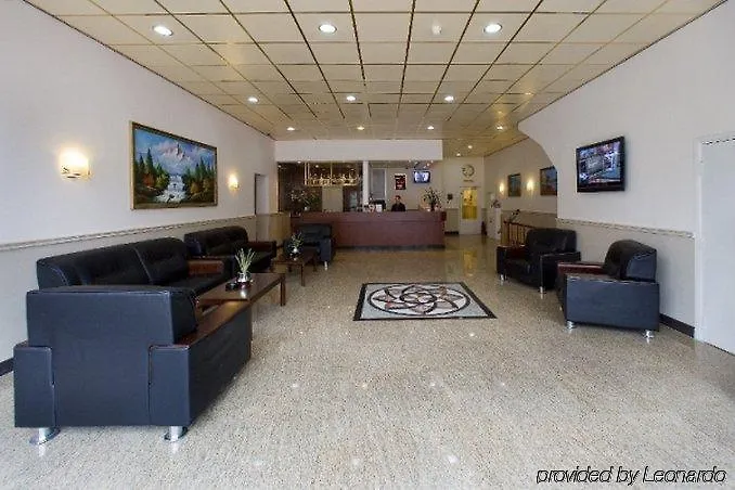 Ozo Cordial אמסטרדם