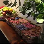 Ozo Cordial